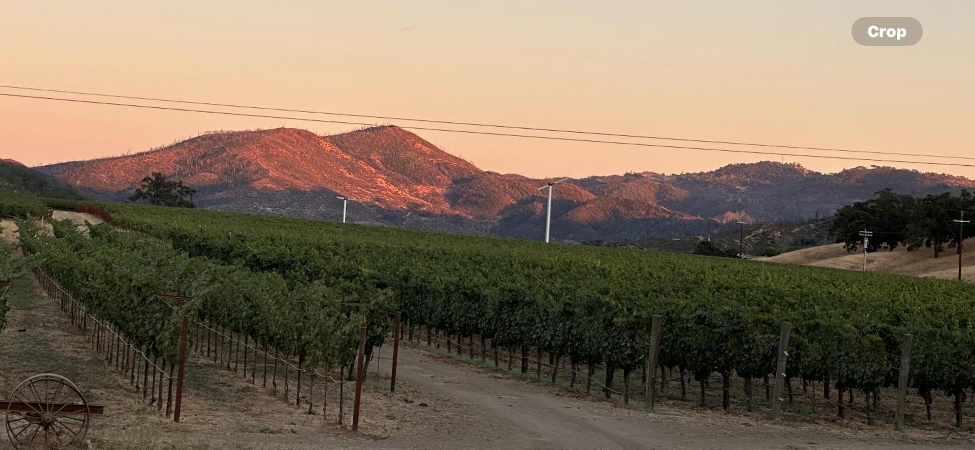 مبيت وإفطار ست. هيلينا Rustridge Ranch & Winery المظهر الخارجي الصورة