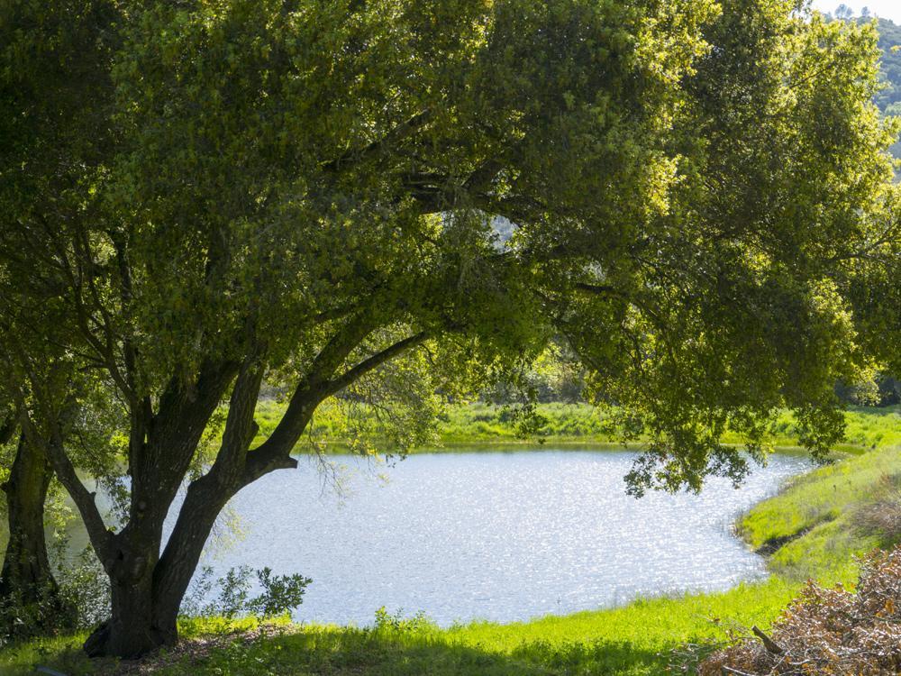 مبيت وإفطار ست. هيلينا Rustridge Ranch & Winery المظهر الخارجي الصورة