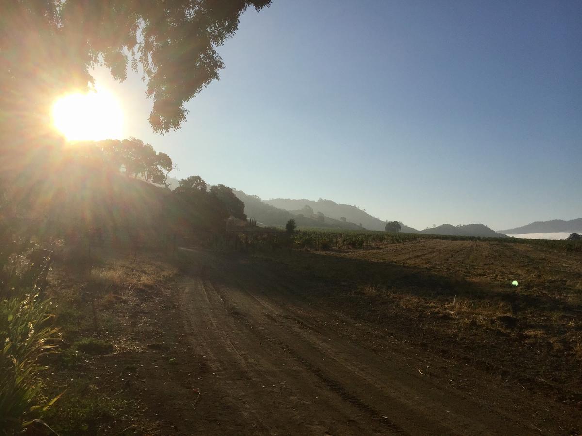 مبيت وإفطار ست. هيلينا Rustridge Ranch & Winery المظهر الخارجي الصورة