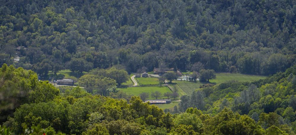 مبيت وإفطار ست. هيلينا Rustridge Ranch & Winery المظهر الخارجي الصورة