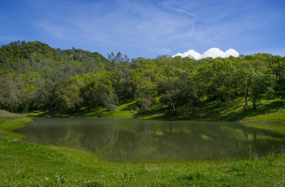 مبيت وإفطار ست. هيلينا Rustridge Ranch & Winery المظهر الخارجي الصورة