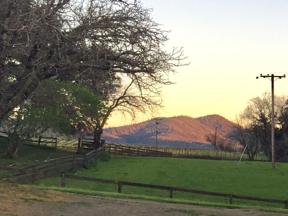 مبيت وإفطار ست. هيلينا Rustridge Ranch & Winery المظهر الخارجي الصورة