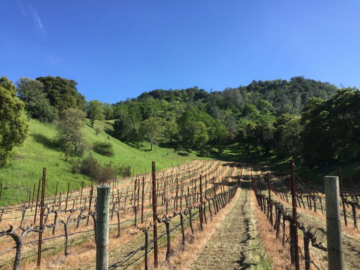 مبيت وإفطار ست. هيلينا Rustridge Ranch & Winery المظهر الخارجي الصورة
