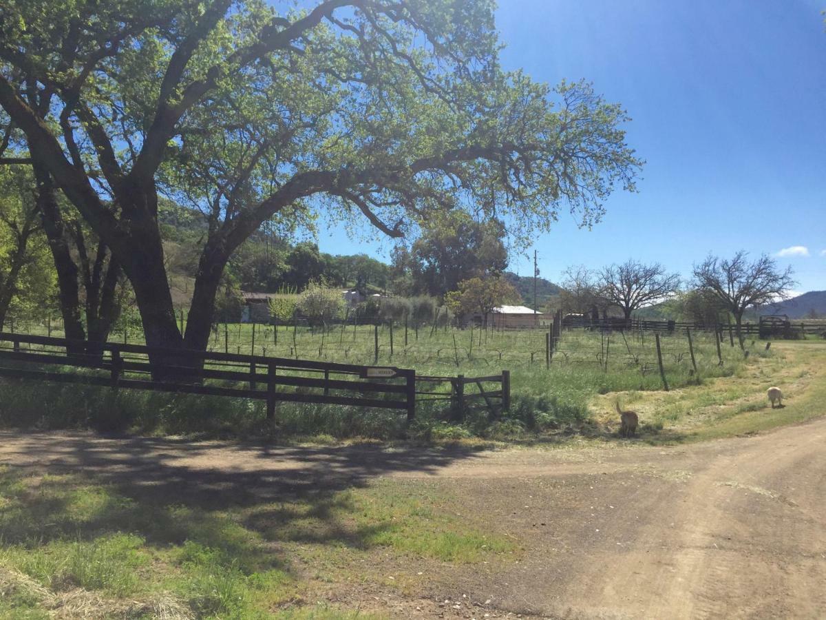 مبيت وإفطار ست. هيلينا Rustridge Ranch & Winery المظهر الخارجي الصورة
