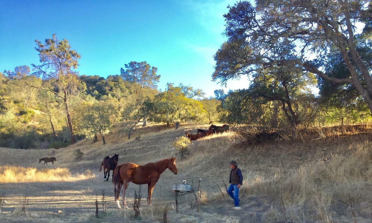 مبيت وإفطار ست. هيلينا Rustridge Ranch & Winery المظهر الخارجي الصورة