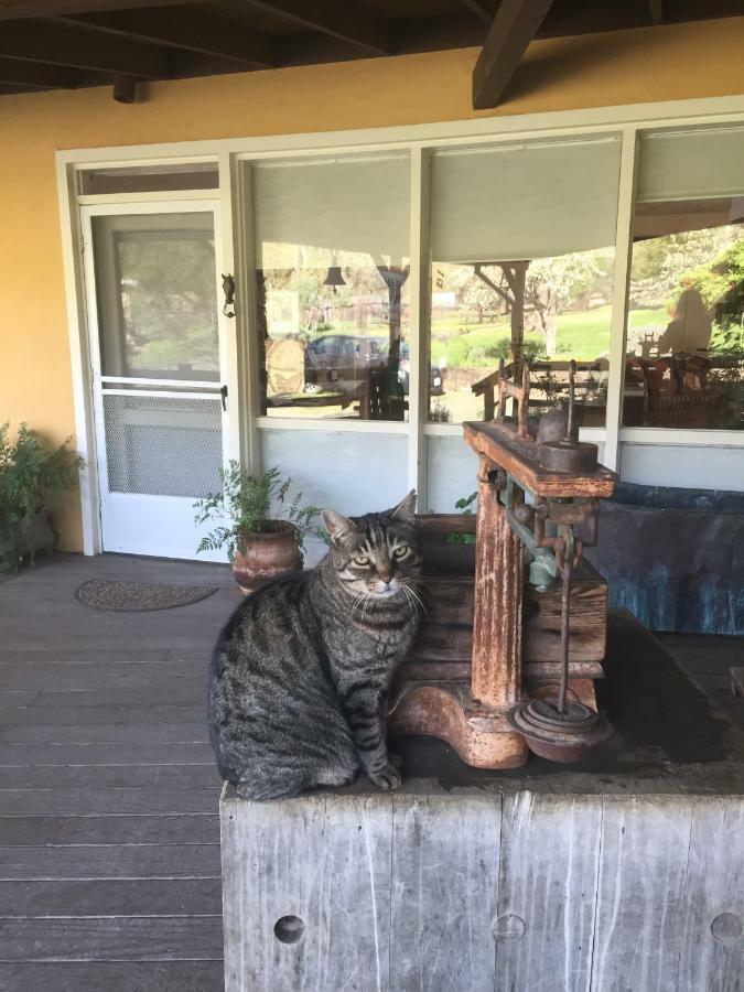 مبيت وإفطار ست. هيلينا Rustridge Ranch & Winery المظهر الخارجي الصورة