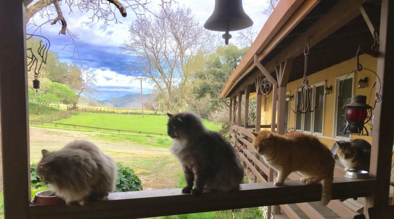مبيت وإفطار ست. هيلينا Rustridge Ranch & Winery المظهر الخارجي الصورة