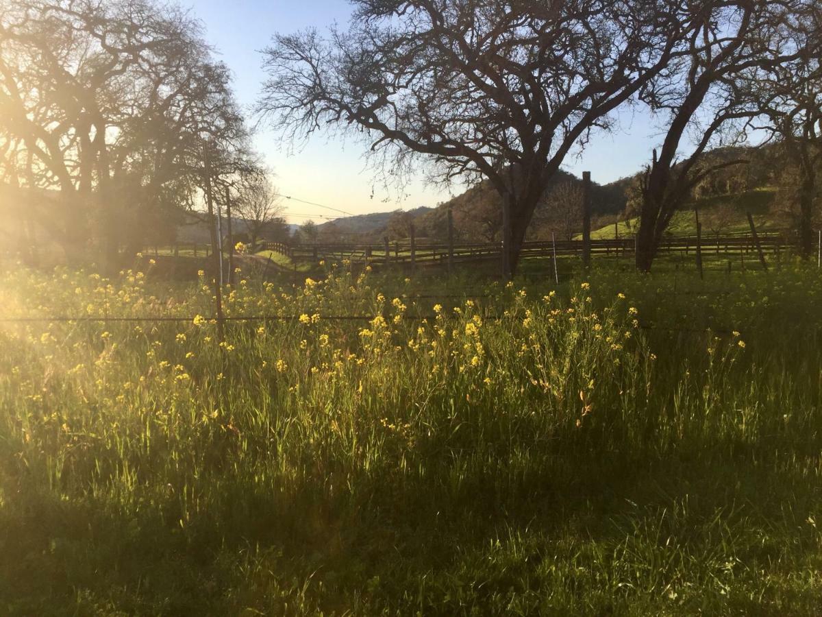 مبيت وإفطار ست. هيلينا Rustridge Ranch & Winery المظهر الخارجي الصورة