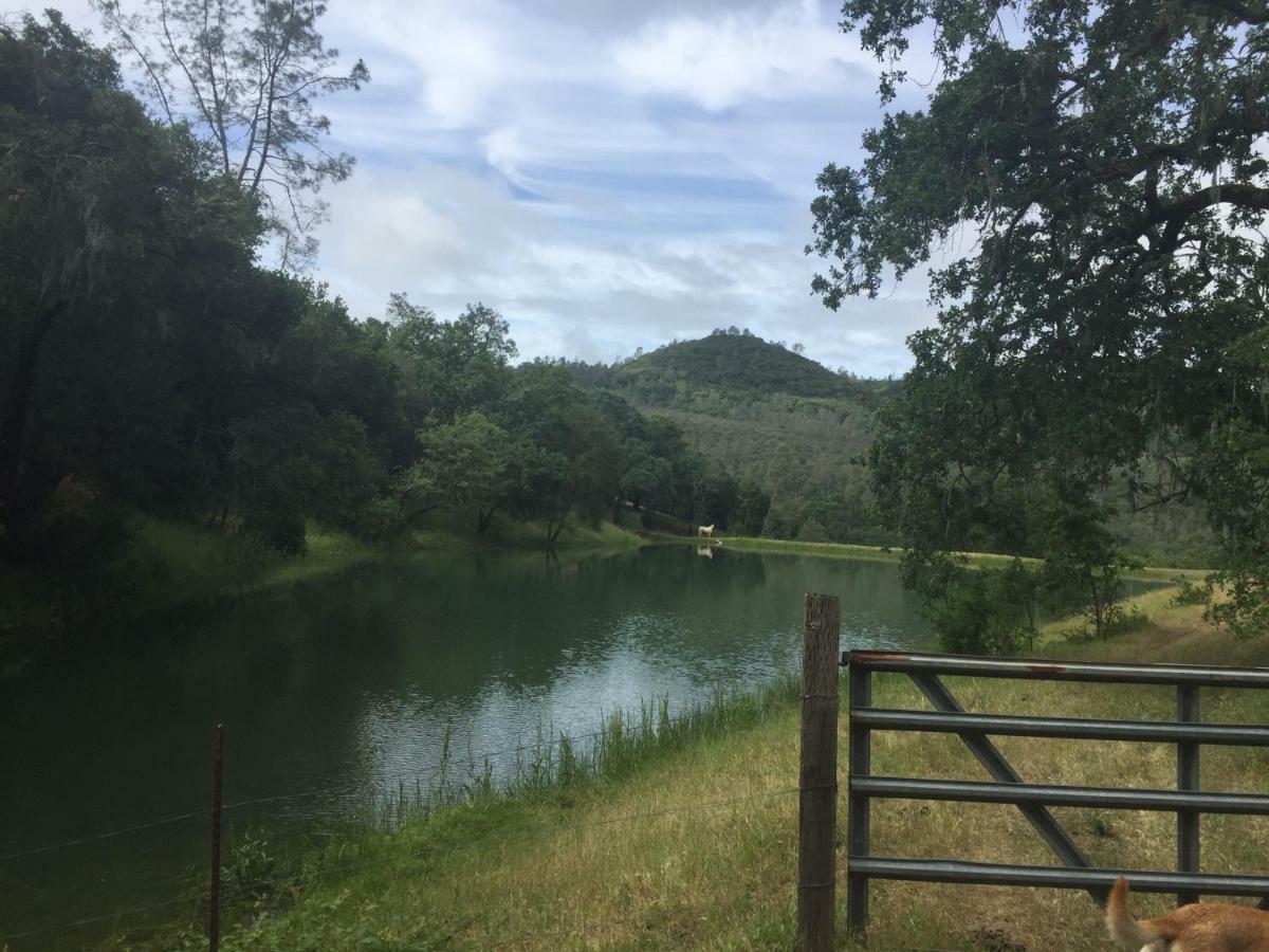 مبيت وإفطار ست. هيلينا Rustridge Ranch & Winery المظهر الخارجي الصورة