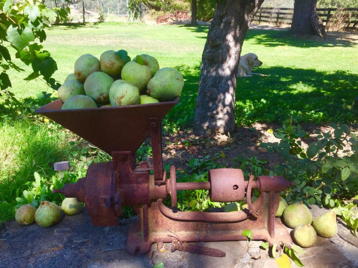 مبيت وإفطار ست. هيلينا Rustridge Ranch & Winery المظهر الخارجي الصورة
