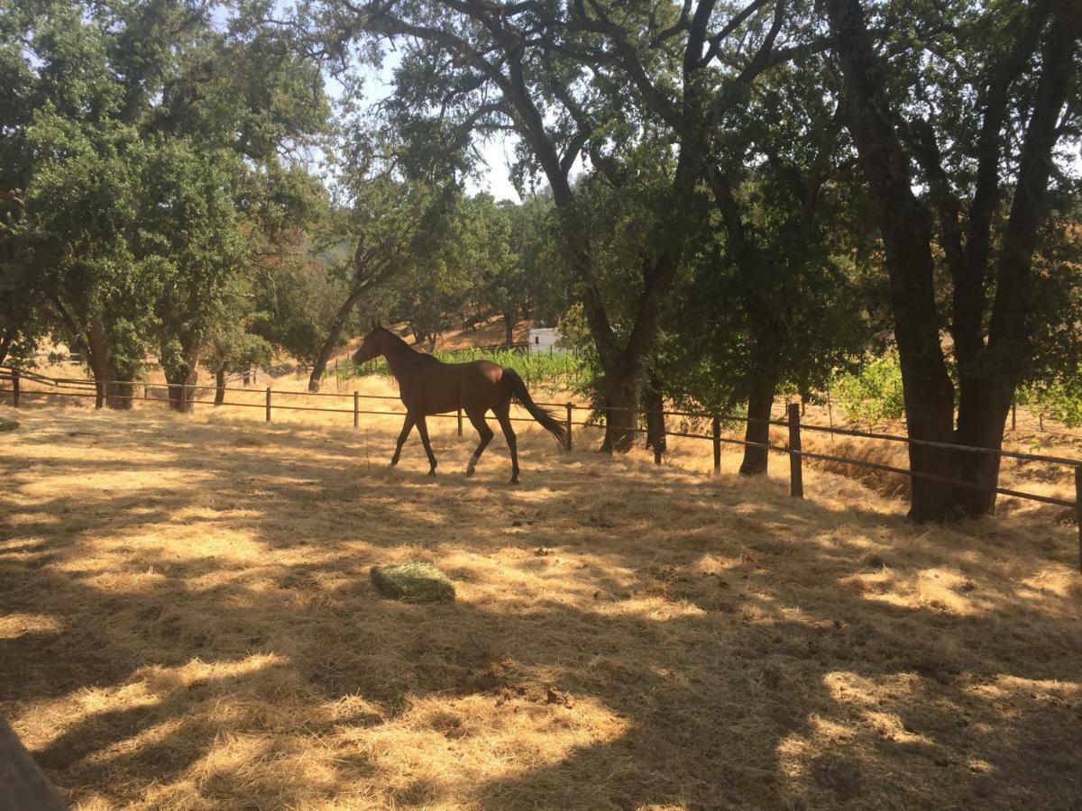 مبيت وإفطار ست. هيلينا Rustridge Ranch & Winery المظهر الخارجي الصورة